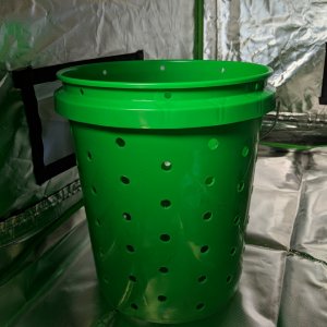 5 gallon grow buckets (air prunned)