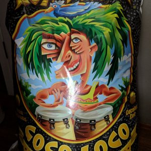 Coco Loco Soil