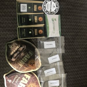 Gorilla prize package