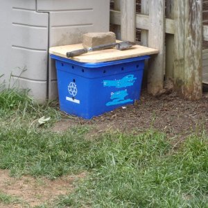 My compost bin