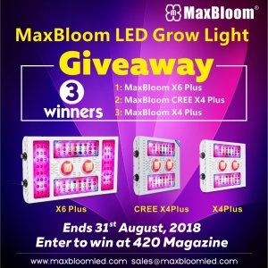 MaxBloom LED Grow Light Giveaway.jpg