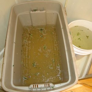 Wash tub