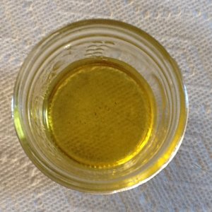 Whole bud in avacodo oil