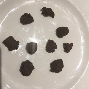 Chocolate coated