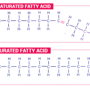 Structure of saturated and unsaturated fatty acids