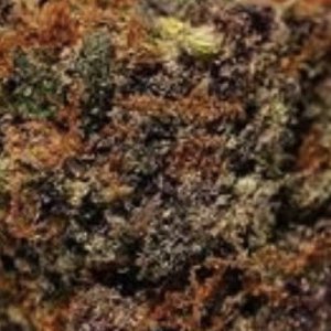 grape-zkittlez-cannabis-seeds-purplecaper-hanfsamen.jpg