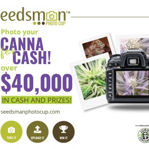 Seedsman Photo Contest