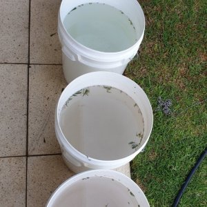 Wash buckets