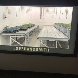 Seed & Smith tour