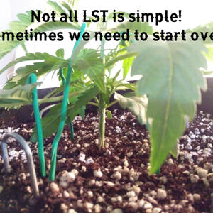 Not all LST is simple.