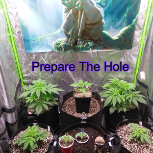 Step 2:  Prepare The Hole