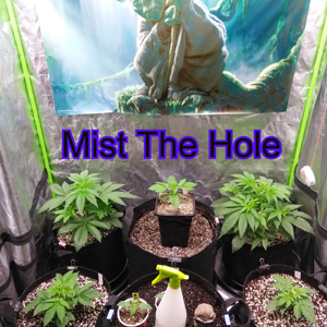 Step 3:  Mist The Hole