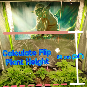 Step 3:  Find Maximum Plant Height