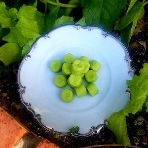 Mary Jane's Mint Meltaways