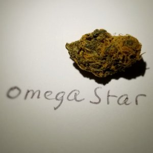 Omega star
