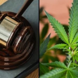 marijuana-legislation-bill-leaf-gavel-400x240.jpg