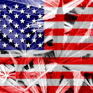 Hemp-Cannabis-and-the-american-flag.jpg