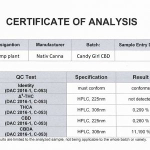 candy-girl-analysis-zertifikat.jpg