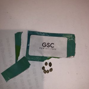 GSC Seeds