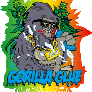 gorilla glue.png
