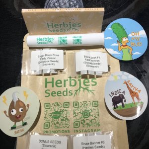 Photo 4 - Seeds & Goodies from Herbie's.jpeg