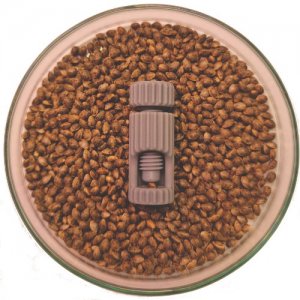 seedcracker-germinate-your-seeds-cannapot-seedshop.jpg