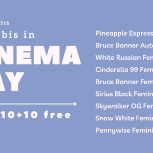 Cannabis-in-Cinema-Day-en.png