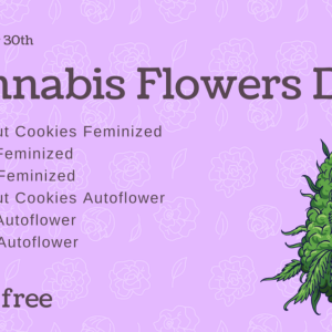 Cannabis-Flowers-Day-en-1024x636.png