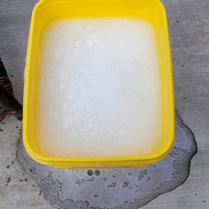 20221002_110607 Baking soda - citric acid wash.jpg
