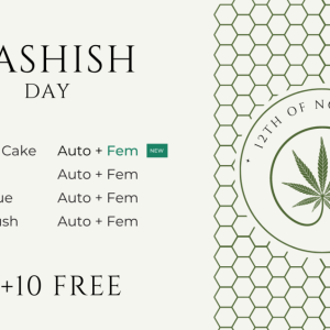 Hashish-Day-en-1024x636.png