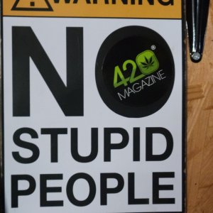 No stupid people