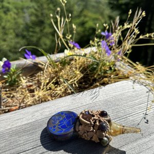 Dab rig with big garden in background
