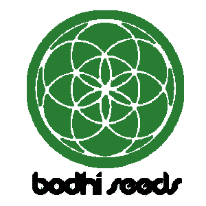 bodhi-seeds-logo-cannapot-seeds-dope-seedshop.png