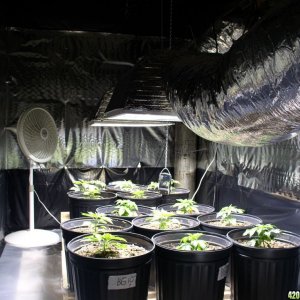 Sealed grow room