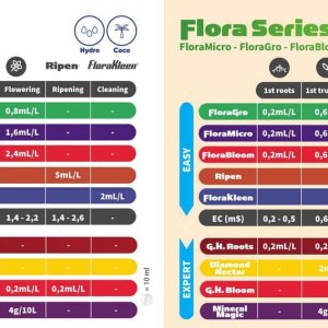 flora_series-1.jpg