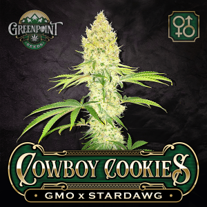 cowboy-cookies-gmo-stardawg-greenpoint-seeds_1b-c.png