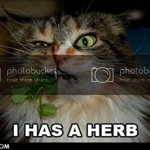 herb.jpg