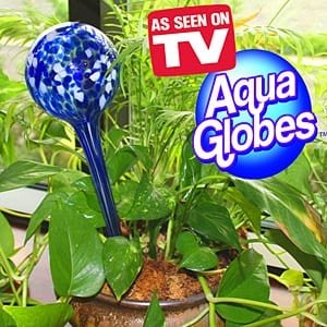 do-aqua-globes-really-work.jpg
