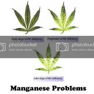 MANGANESE-PROBLEMS.jpg