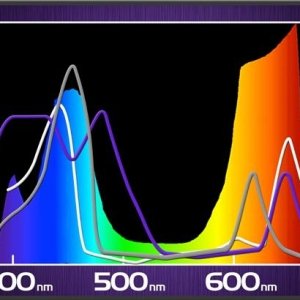 KIND-led-grow-light-spectrum.jpg