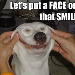 ts-Put-A-Face-On-That-Smile-Funny-Smile-Meme-Image.jpg