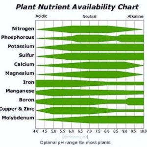 Nutrient Availability Chart.JPG