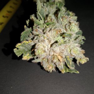 Green Crack After Harvest Pics of odd looking buds (1).jpg