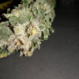 Green Crack After Harvest Pics of odd looking buds (4).jpg