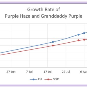Growth Chart.jpg