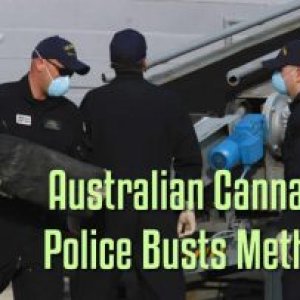 australian-cannabis-police-busts-methods-300x203.jpg