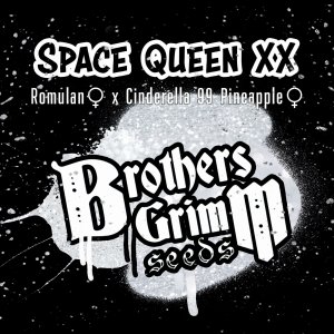 Space-Queen-XX-Brothers-Grimm-Seeds.jpg