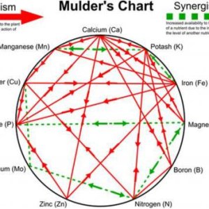 Mulder's Chart.jpg