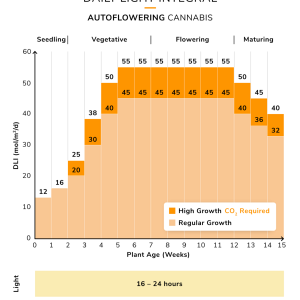 cannabis-dli-cycle-autos-1.png