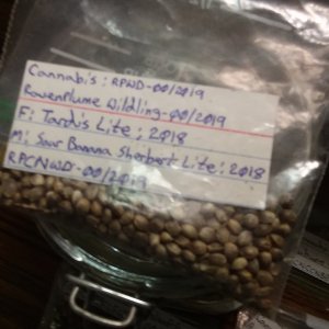 CN-RP-Seed-Inventory-2023-05-1.jpg